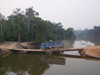 Brazylia walczy o rekompensatę za ochronę puszczy. "Rosnący las cenniejszy niż ścięty"