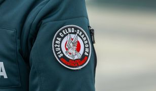 Wyłudzili 20 mln złotych na firmy słupy. Udana akcja służb