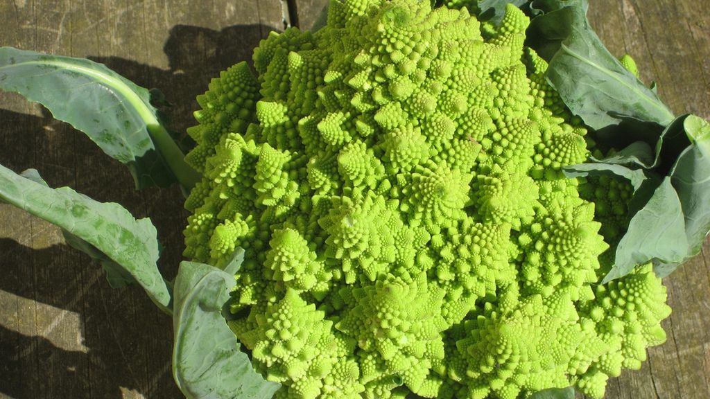Surowy kalafior romanesco
