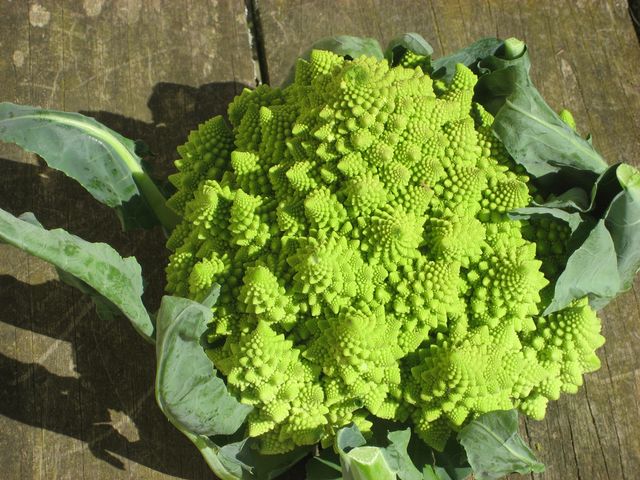 Surowy kalafior romanesco