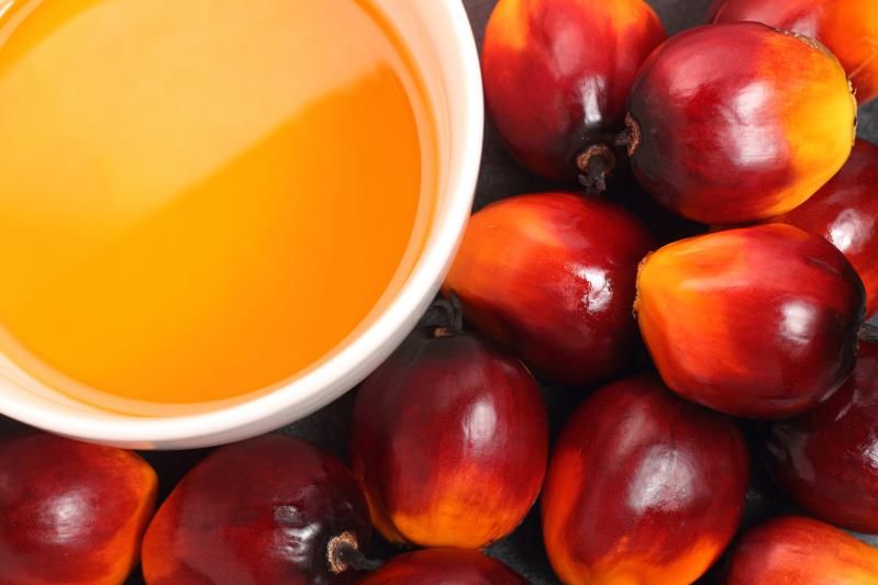 Olej palmowy - źródło tłuszczów nasyconych