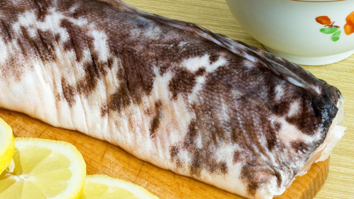 Miętus - niezwykła ryba ze słodkich wód Europy