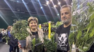 Bełchatów: Festiwal roślin przyciąga tłumy