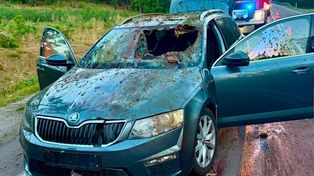 Zderzenie z łosiem pod Mielcem. Jedna osoba w szpitalu