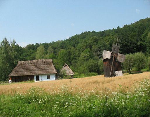 Obraz