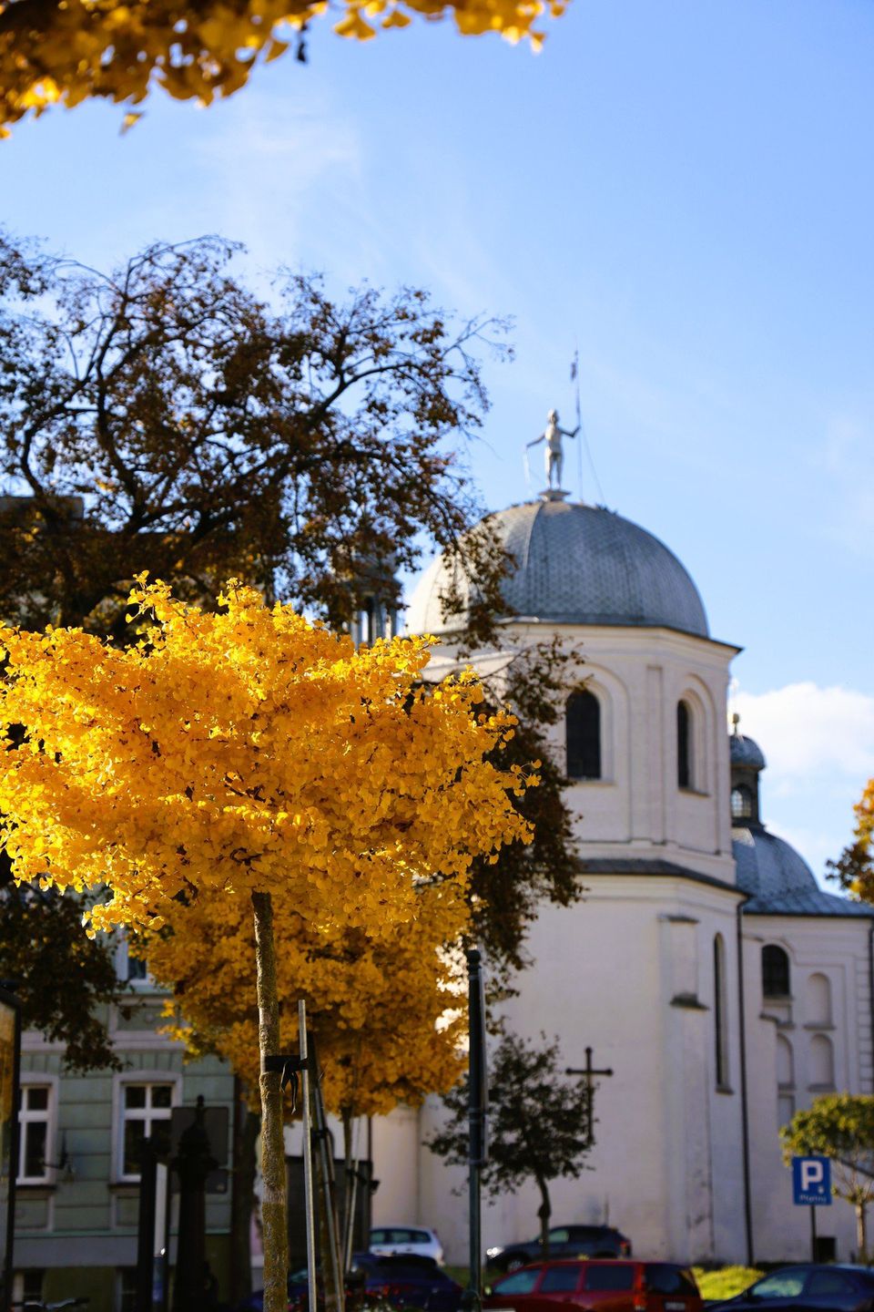 Grodzisk Wielkopolski w kolorach jesieni