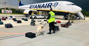 Awaryjne lądowanie Ryanaira. Wielka Brytania zawiesza loty nad Białorusią