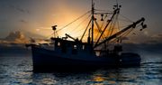 Rybołówstwo na Bałtyku. Unijni ministrowie ustalili kwoty, ekolodzy zawiedzeni