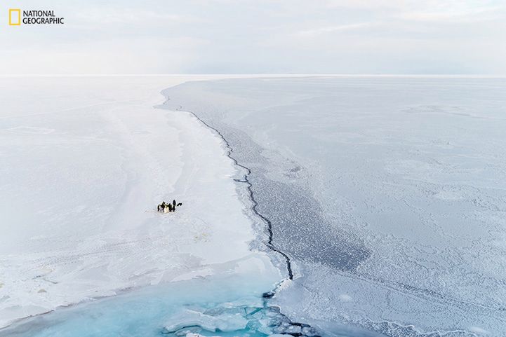National Geographic Photo Contest 2015 - galeria pierwszych imponujących zdjęć zgłoszonych do konkursu 3