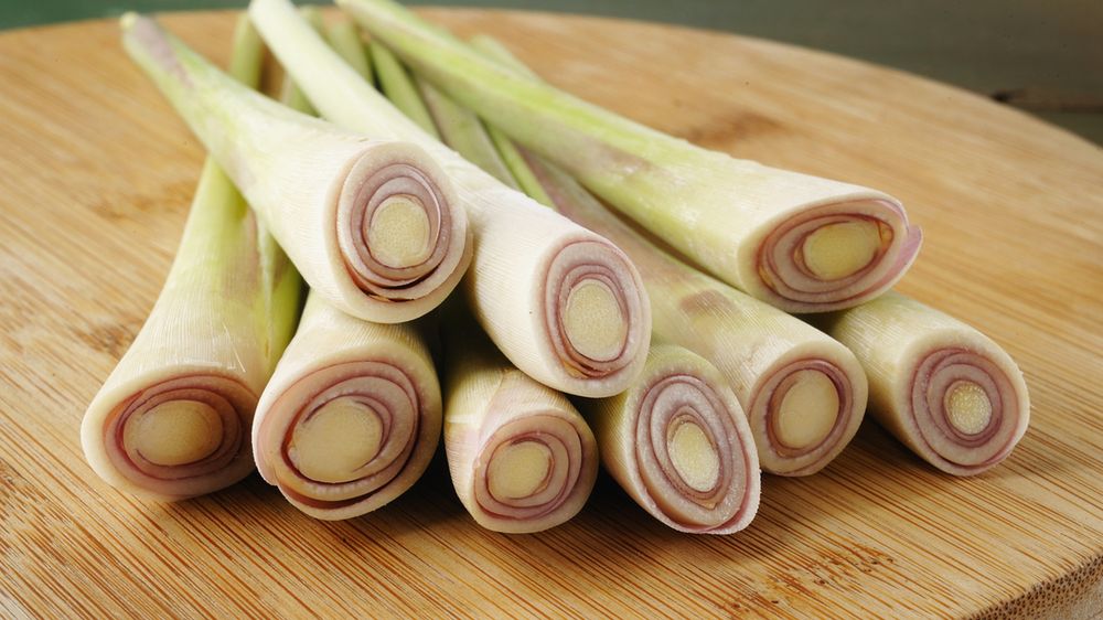 Surowa trawa cytrynowa