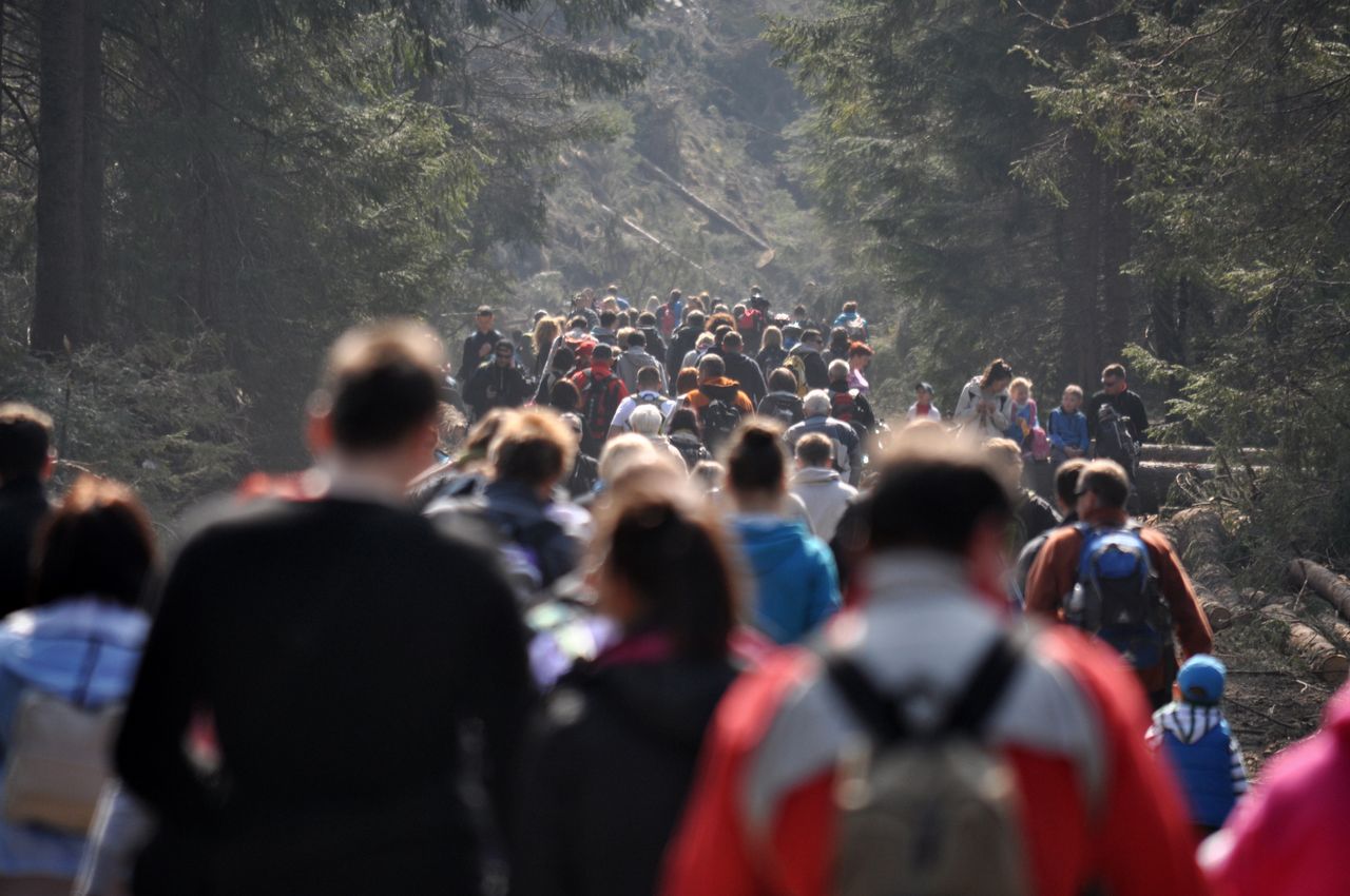 Polacy oszaleli na punkcie wyjątkowego zjawiska. Gigantyczne kolejki do wejścia