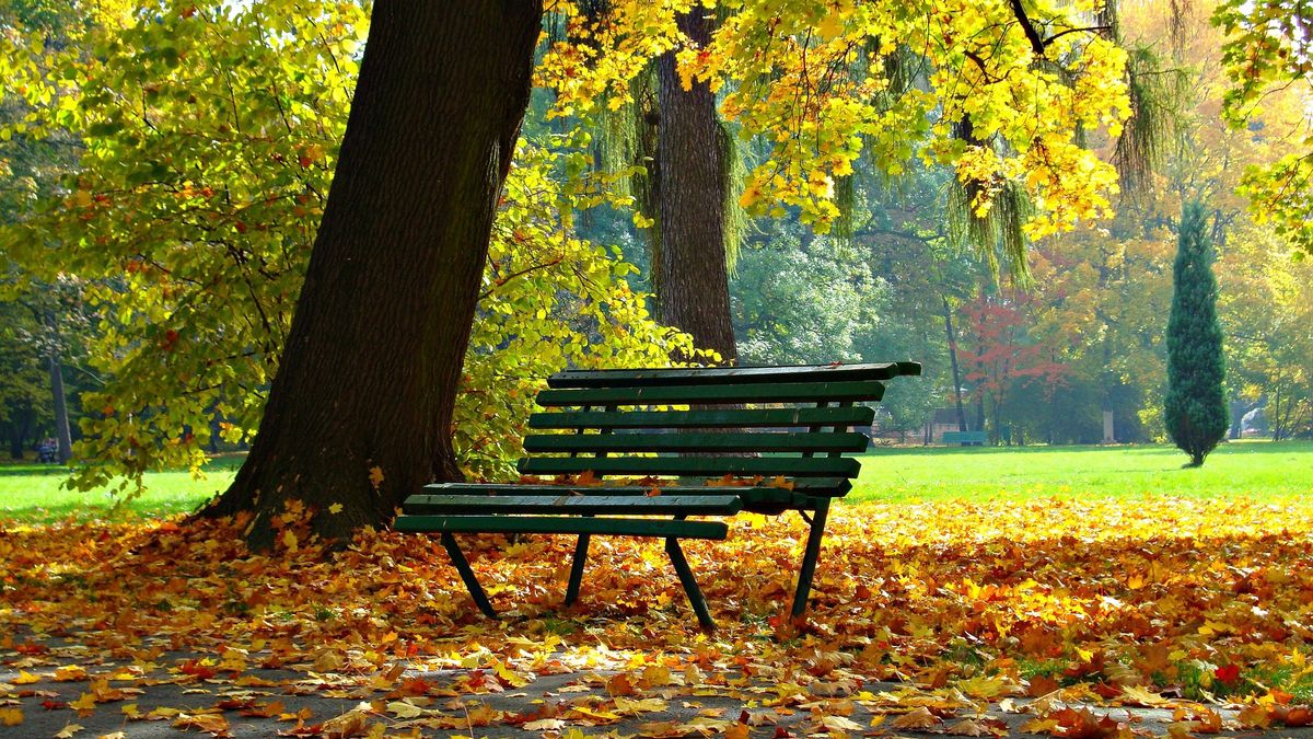 Ciepłe dni od wtorku w Polsce.