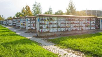 Rekordowe straty. Petersburg w trybie pilnym rozbudowuje krematorium