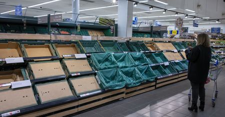 Brytyjskie markety racjonują żywność. Ograniczenia w papryce i ogórkach