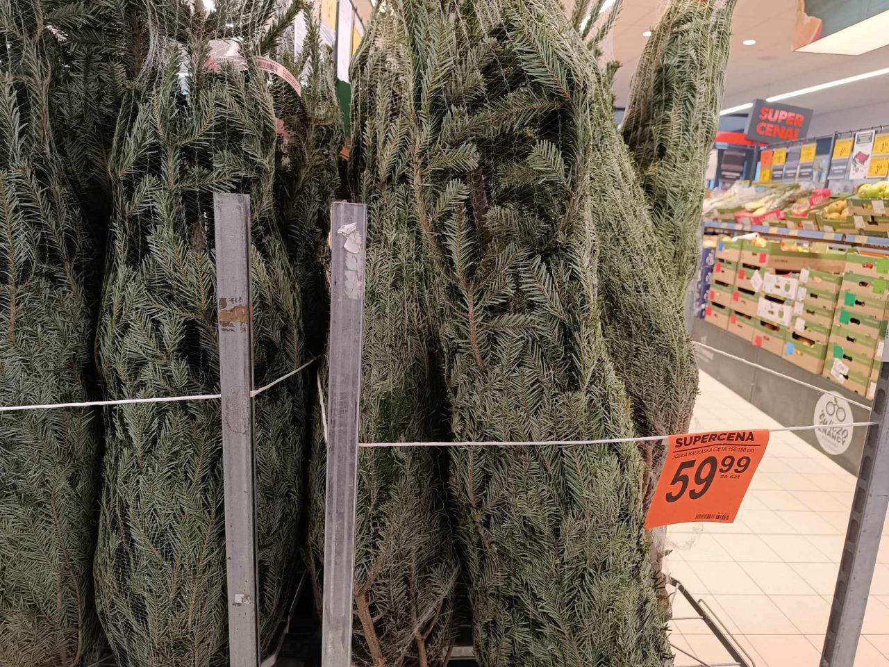 Czas na choinki. Wybór jest duży, ceny różne