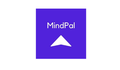 Tomasz Teluk odpowiada za komunikację w MindPal