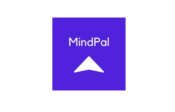 Tomasz Teluk odpowiada za komunikację w MindPal