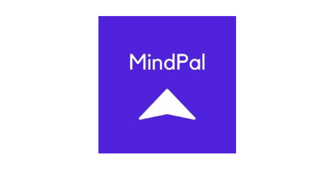 Tomasz Teluk odpowiada za komunikację w MindPal