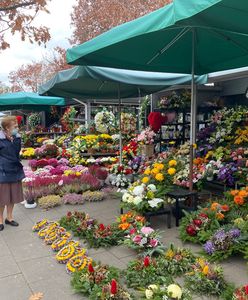Wszystkich Świętych. Handlarze brutalnie szczerzy. "Podrożało, bo musiało"