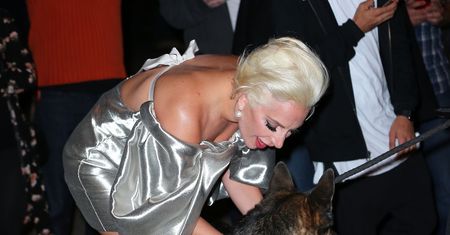 Lady Gaga zaliczyła wpadkę! Gwiazda nie dopięła sukienki