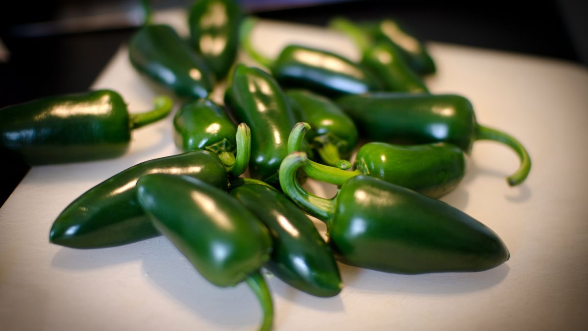 Surowe papryczki jalapeno