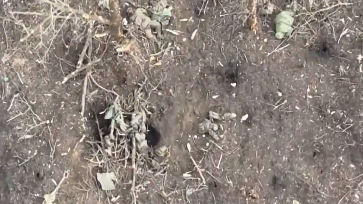 Na polu walki pod Awdijiwką zalegają setki ciał rosyjskich żołnierzy