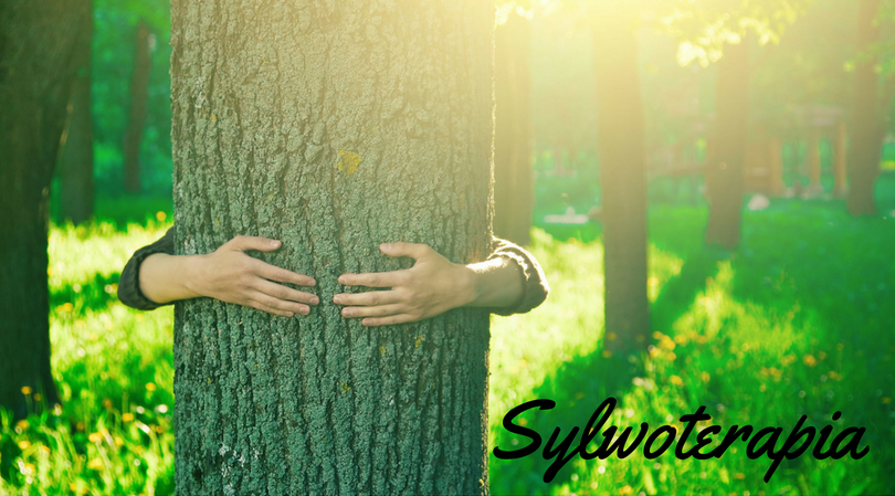 Drzewolecznictwo, czyli sylowterapia