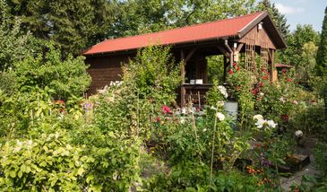 Deweloper chce zapłacić działkowcom 77 mln zł. Gdańsk interweniuje