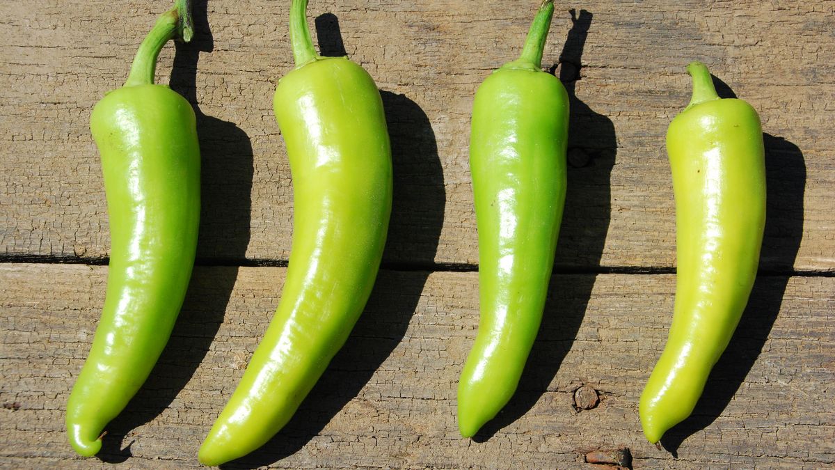 Surowa papryka Hungarian