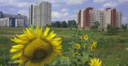 Nowa jakość urbanistyki wielkiej płyty