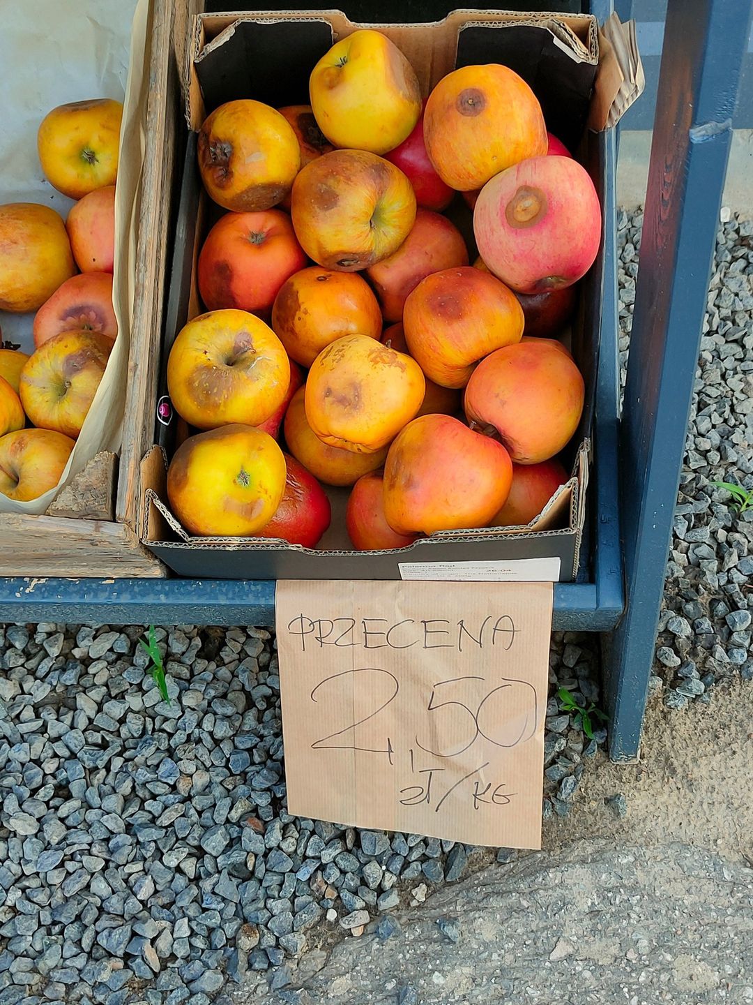 Tak wyglądają jabłka, które nie nadają się już do spożycia