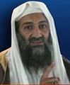 Bin Laden promuje książkę