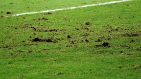 Murawa zmorą Lechii. Maciej Makuszewski: Po kilku minutach jest fatalnie