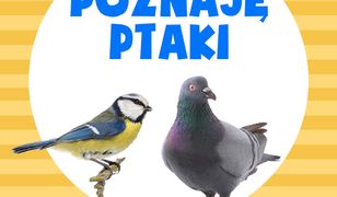 Poznaję ptaki