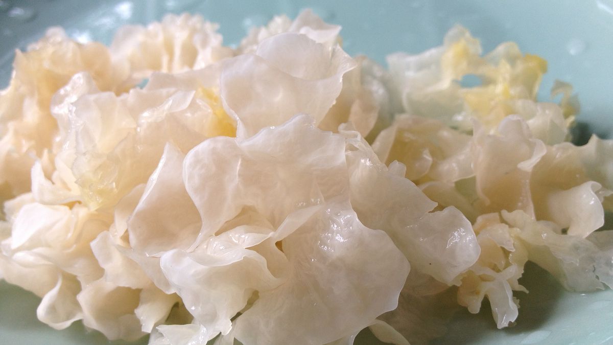 Suszone uszaki gęstowłose (grzyby)