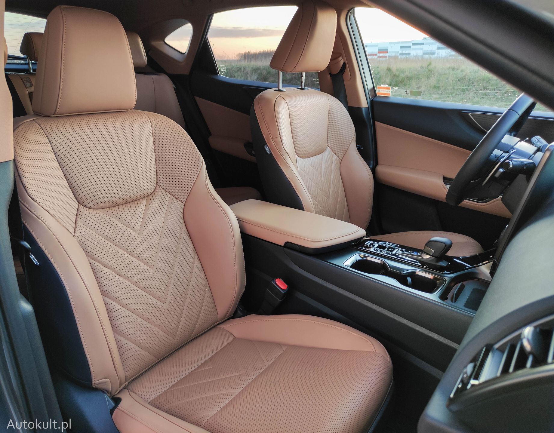 Lexus NX450h+