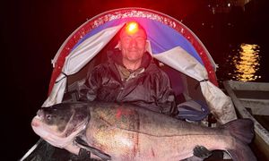 Dwie godziny walczył z gigantyczną rybą. "Ten potwór wyglądał strasznie"