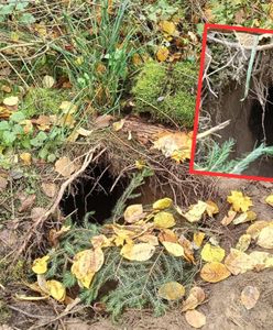 Odkryli tunel wykopany pod polską granicą. Pokazali nagranie