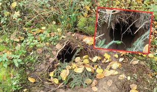 Odkryli tunel wykopany pod polską granicą. Pokazali nagranie