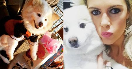 Iwona i Reggie zorganizowali... urodziny dla psa. "Toby miał fajne prezenty, fajny kejk, był szczęśliwy. On jest taki mały ludź"