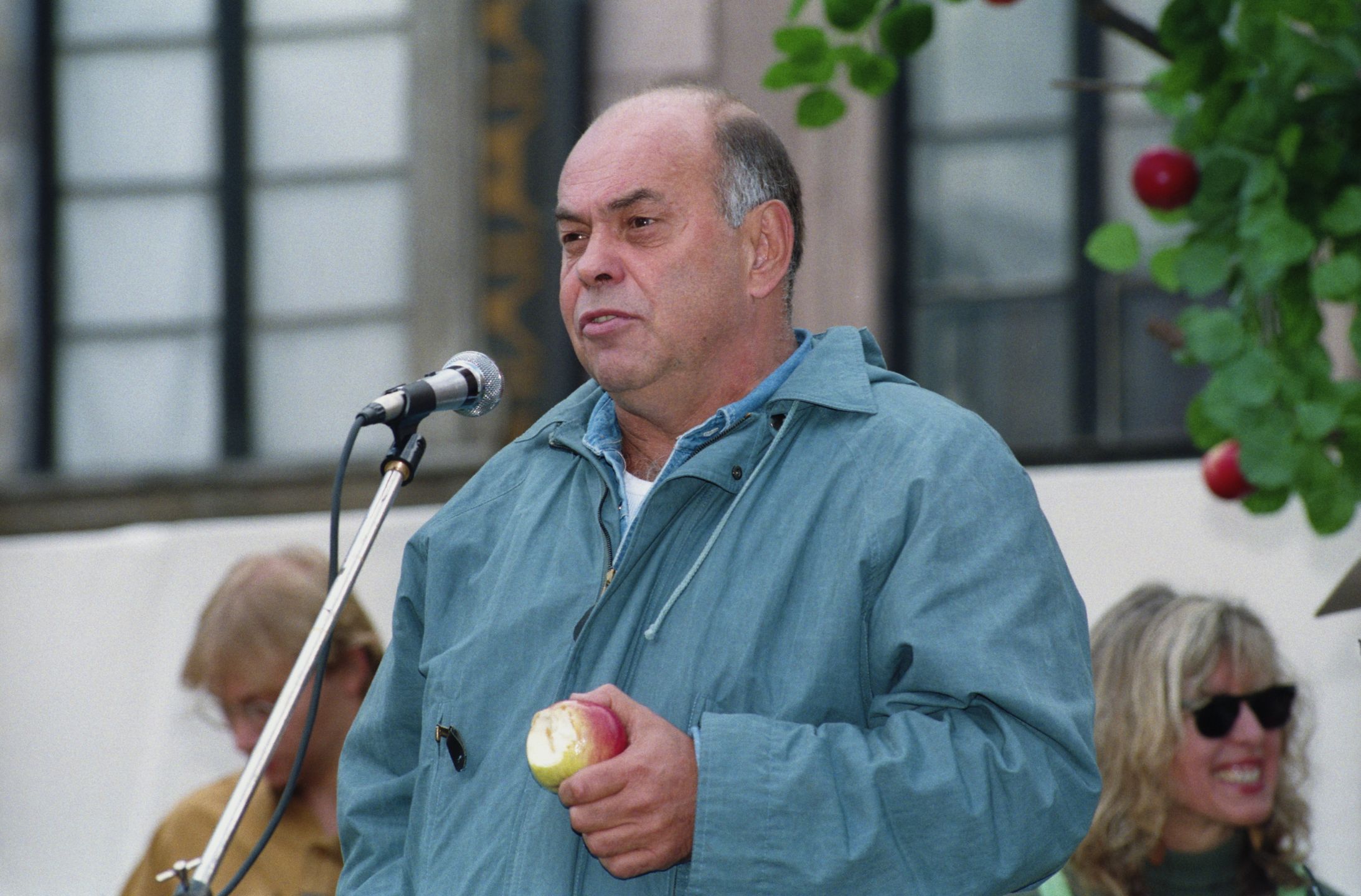 Obraz
