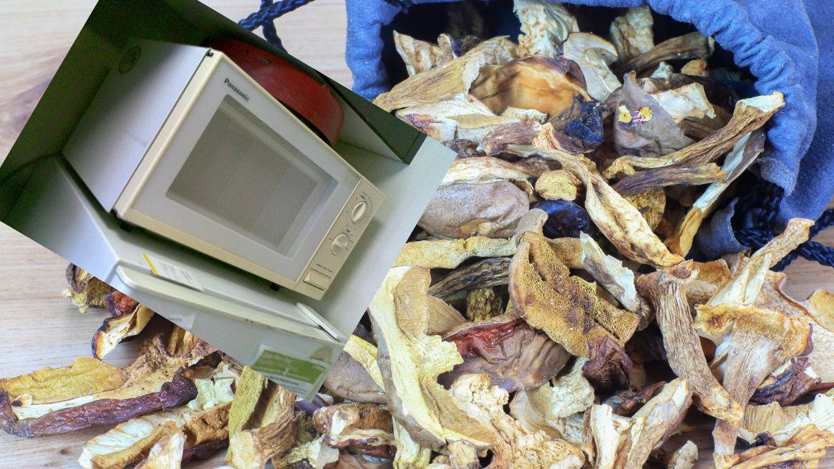 Suszenie grzybów w mikrofalówce