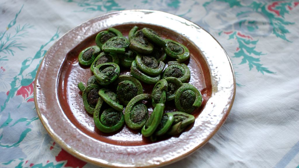 Mrożony pastorał paproci