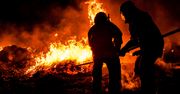 Strażacy ratowali zwierzęta i mienie. Nocny pożar w Rąbieniu