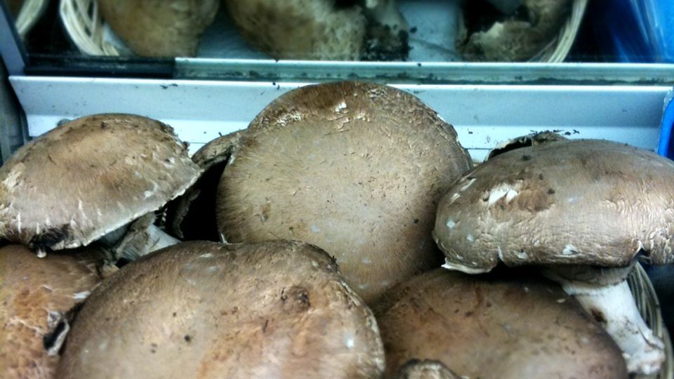 Surowe grzyby portobello naświetlane światłem UV