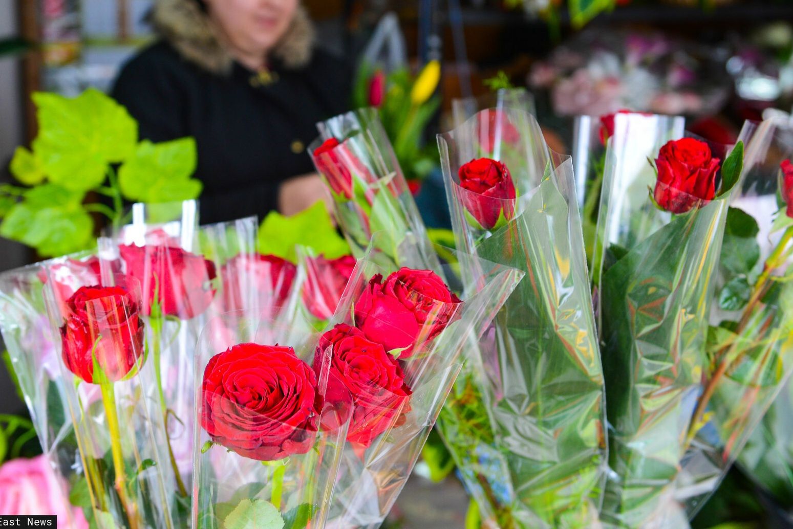 Nie dawaj w walentynki. Te kwiaty zwiastują rozstanie