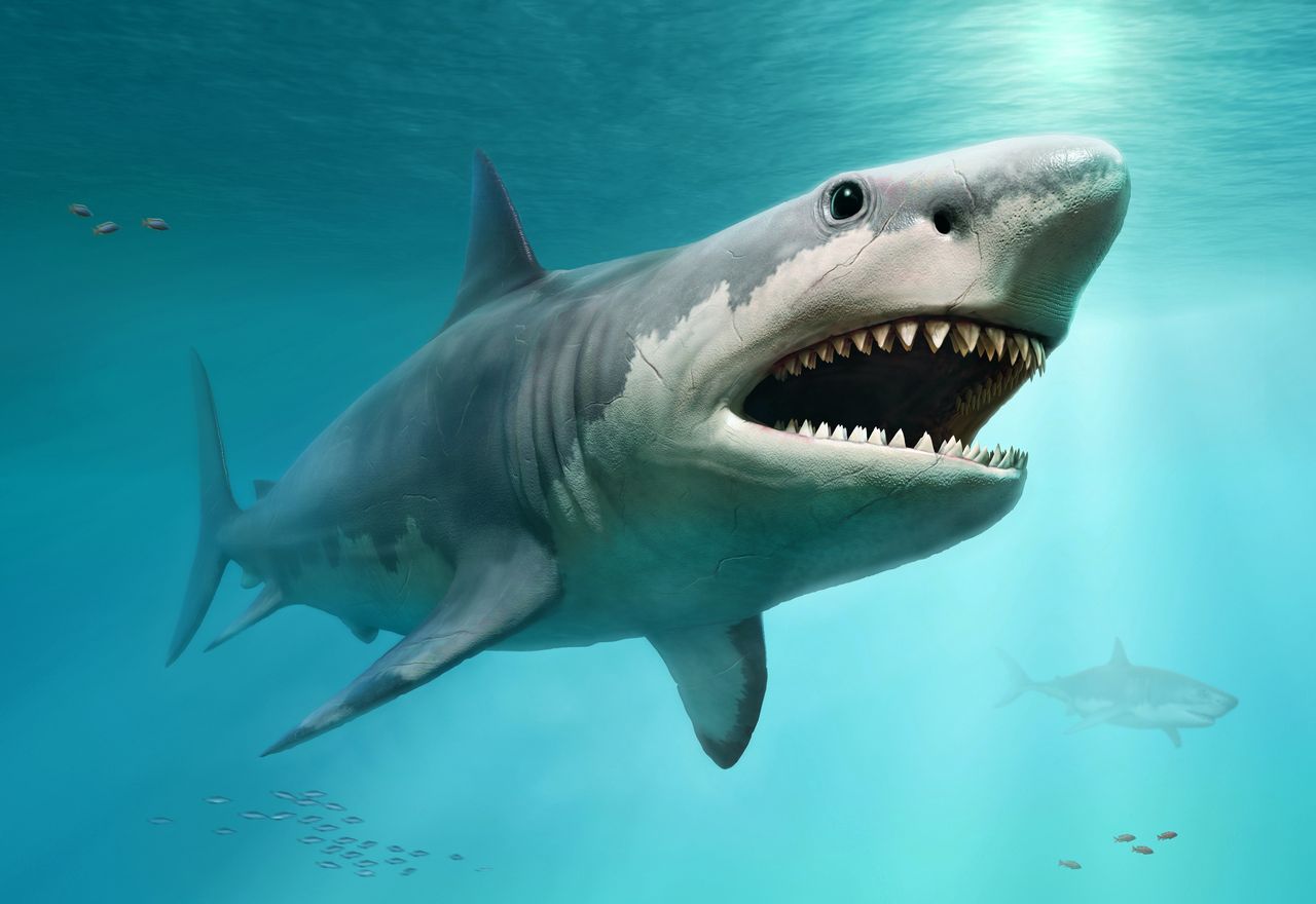 Prehistoryczny megalodon. Wizualizacja autorstwa AI