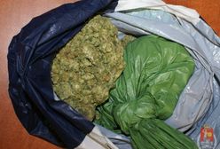 200 g marihuany na Pradze Północ