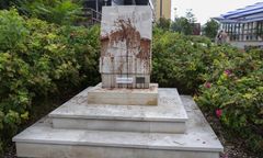 Szokujący widok w stolicy. 76-latka z zarzutami