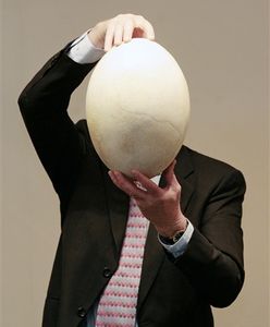 Gigantyczne jajko